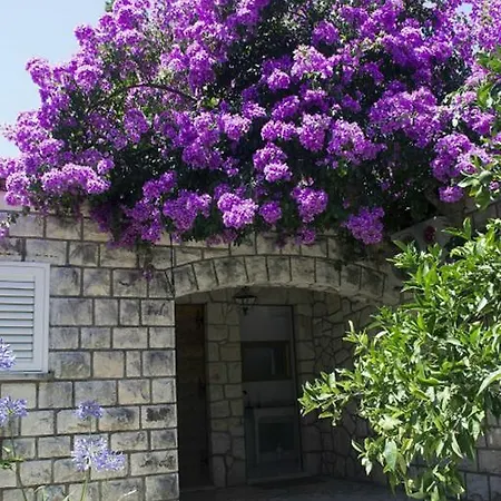 Villa Ni-na Boutique House With Terraces Zaton (Dubrovnik-Neretva)